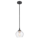 CEILING LT MTBLK 60W 8"L