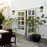 Globe Electric Miller 1-Light Black Downlight Wall Sconce