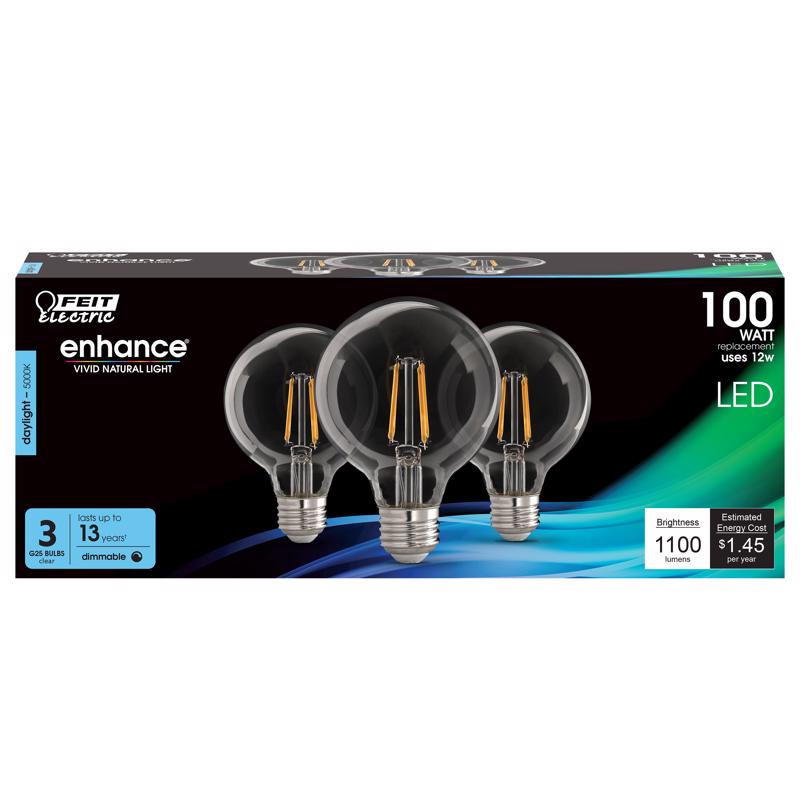 LED FLT DM G25 DL100W2PK