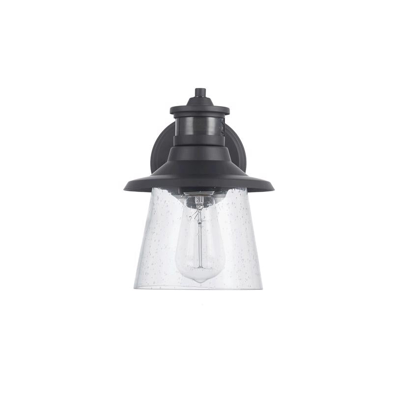 Globe Electric Juno 1-Light Matte Black Wall Sconce