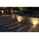 NEBO Low Voltage 12 W LED Well Light 1 pk