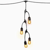 Feit LED String Lights Clear 12 ft. 10 lights