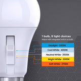 Feit A19 E26 (Medium) LED Motion Activated Bulb Tunable White/Color Changing 100 Watt Equivalence 1