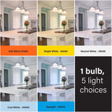 Feit A19 E26 (Medium) LED Motion Activated Bulb Tunable White/Color Changing 100 Watt Equivalence 1