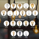 Feit LED Filament ST19 E26 (Medium) Filament LED Bulb Warm White 40 Watt Equivalence 2 pk