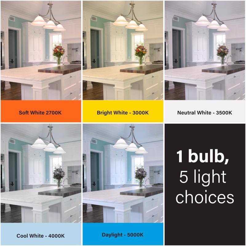 Feit LED A21 E26 (Medium) LED Bulb Tunable White/Color Changing 100 Watt Equivalence 2 pk