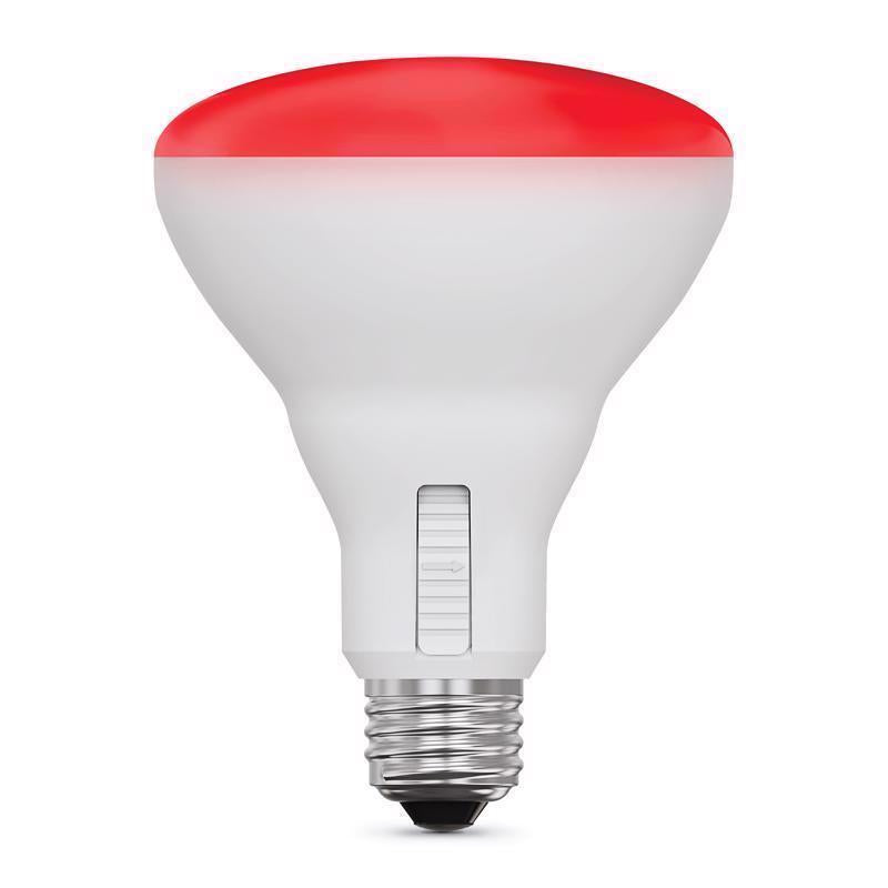 Feit LED Smart BR30 E26 (Medium) Smart-Enabled LED Floodlight Bulb Color Changing 65 Watt Equivalenc
