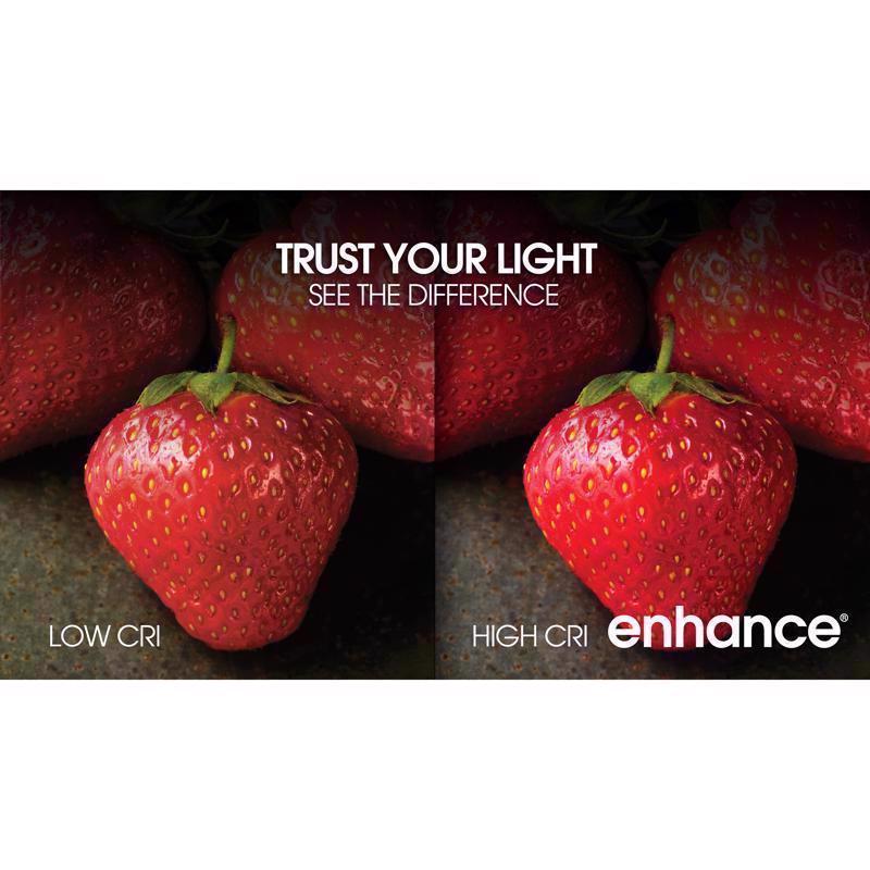 Feit Enhance A19 E26 (Medium) Filament LED Bulb Soft White 100 Watt Equivalence 2 pk