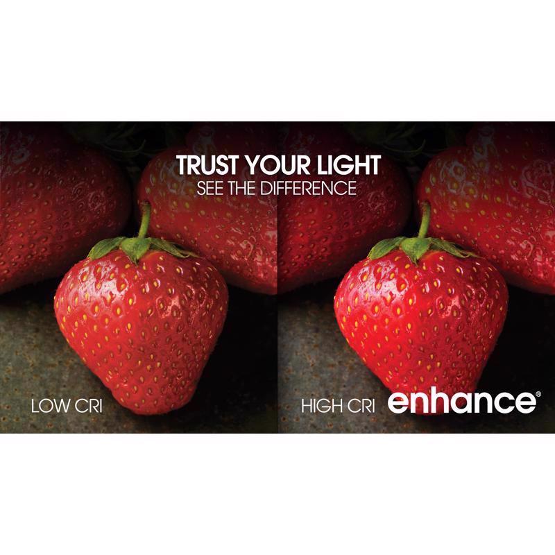 Feit Enhance A19 E26 (Medium) Filament LED Bulb Daylight 100 Watt Equivalence 2 pk