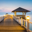 Westinghouse ED23.5 E26 (Medium) Filament LED Bulb Warm White 125 Watt Equivalence 1 pk