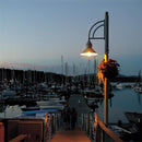 Westinghouse ED23.5 E26 (Medium) Filament LED Bulb Warm White 125 Watt Equivalence 1 pk