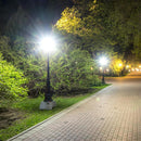 Westinghouse ED23.5 E26 (Medium) Filament LED Bulb Daylight 125 Watt Equivalence 1 pk