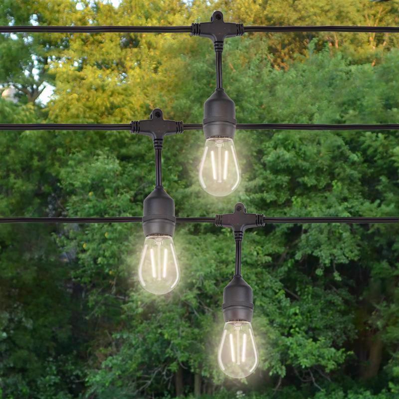 Belle Luci Holiday Bright Lights S14 E26 (Medium) Filament LED Bulb Warm White 1.5 Watt Equivalence