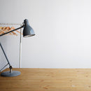 Feit 40 W S11 Globe Incandescent Bulb E17 (Intermediate) Soft White 2 pk