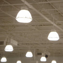 Westinghouse ED37 EX39 (Mogul) Filament LED Bulb Daylight 750 Watt Equivalence 1 pk