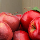 Philips Ultra Definition A19 E26 (Medium) LED Bulb Daylight 60 Watt Equivalence 4 pk