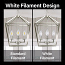 Feit White Filament BA10 E26 (Medium) Filament LED Bulb Soft White 40 Watt Equivalence 2 pk