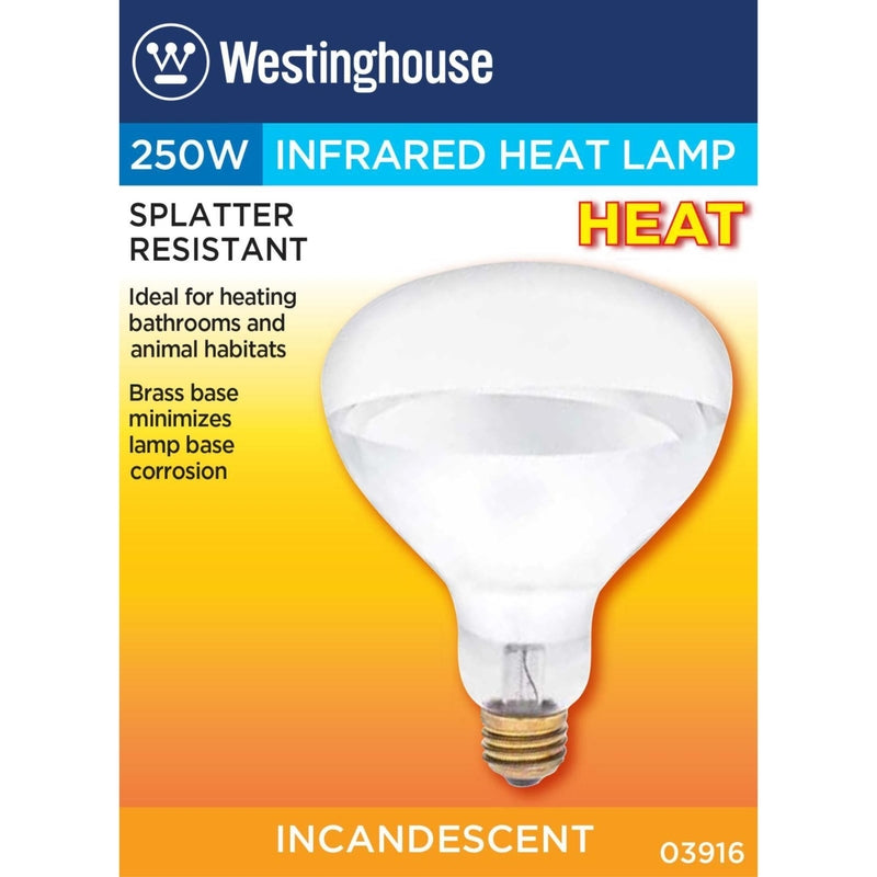 Westinghouse 250 W R40 Reflector Incandescent Bulb E26 (Medium) White 1 pk