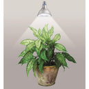 Philips PAR 38 E26 (Medium) LED Bulb Daylight 120 Watt Equivalence 1 pk