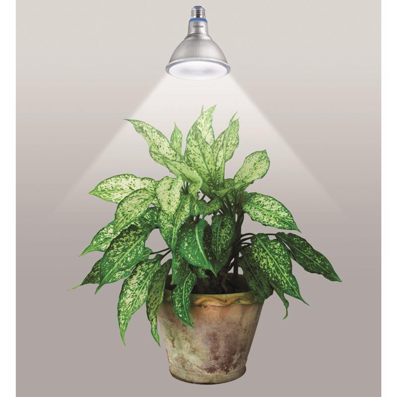 Philips PAR 38 E26 (Medium) LED Bulb Daylight 120 Watt Equivalence 1 pk