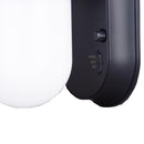 Dualux Motion-Sensing Solar Powered LED Black Security Wall Light