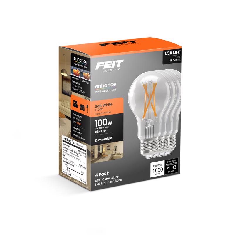 FT LED A19 SW 100W 4PK
