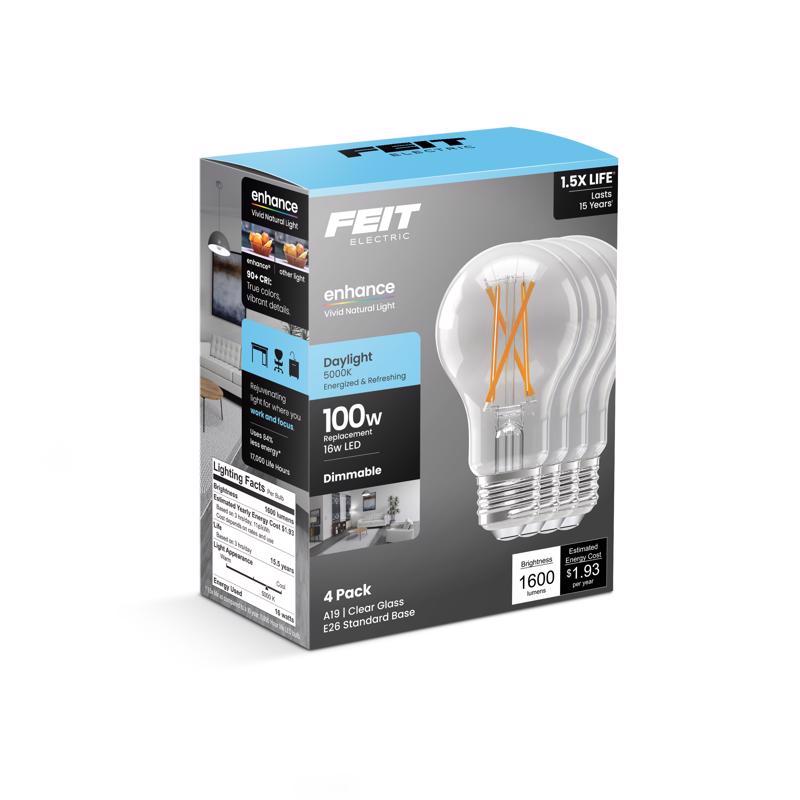 FT LED  A19 DL 100W 4PK