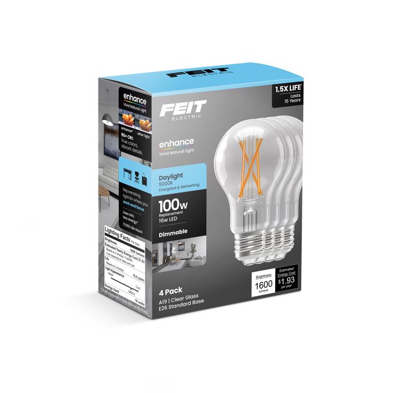 FT LED  A19 DL 100W 4PK