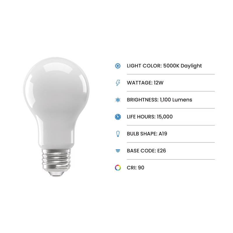 Feit A19 E26 (Medium) Filament LED Bulb Daylight 75 Watt Equivalence 4 pk