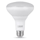 Feit BR30 E26 (Medium) LED Bulb Daylight 100 Watt Equivalence 6 pk