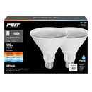 FT LED PAR38 AW 120W 2PK