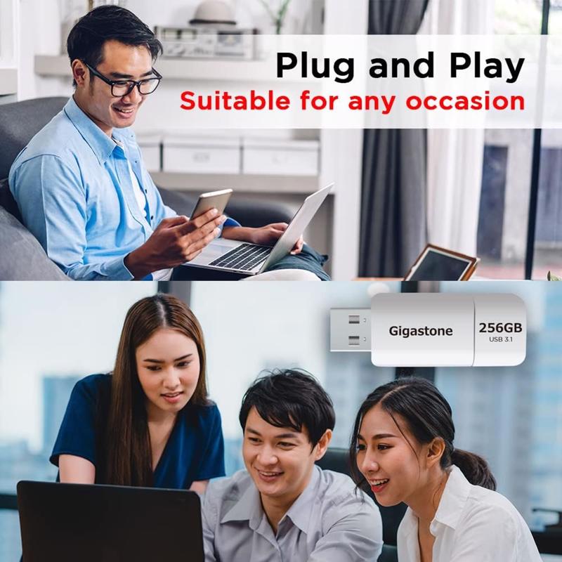 Gigastone Flash Drive 256 GB 1 pk