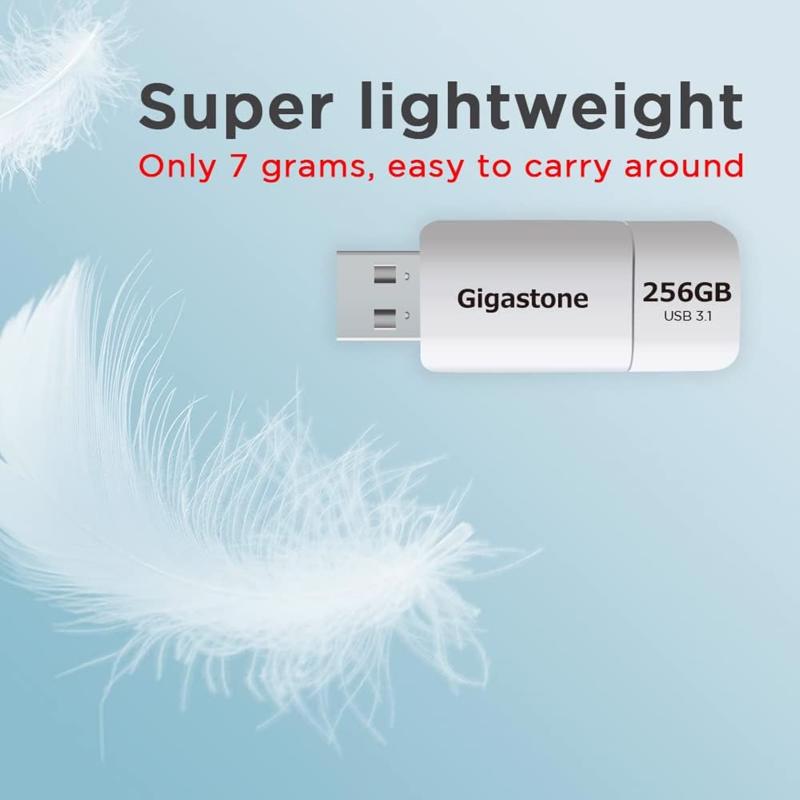 Gigastone Flash Drive 256 GB 1 pk