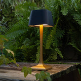 Belair 10.2 in. Brushed Bronze Table Lamp