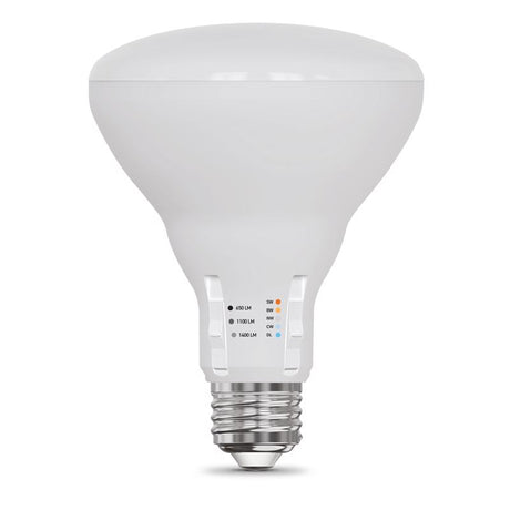 Feit Electric BR30 E26 (Medium) LED Bulb Adjustable White 100 Watt Equivalence 1 pk