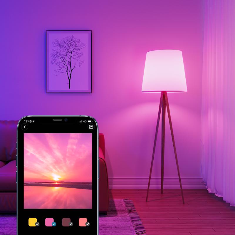 Govee A19 E26 (Medium) Smart-Enabled LED Bulb Color Changing 60 Watt Equivalence 2 pk