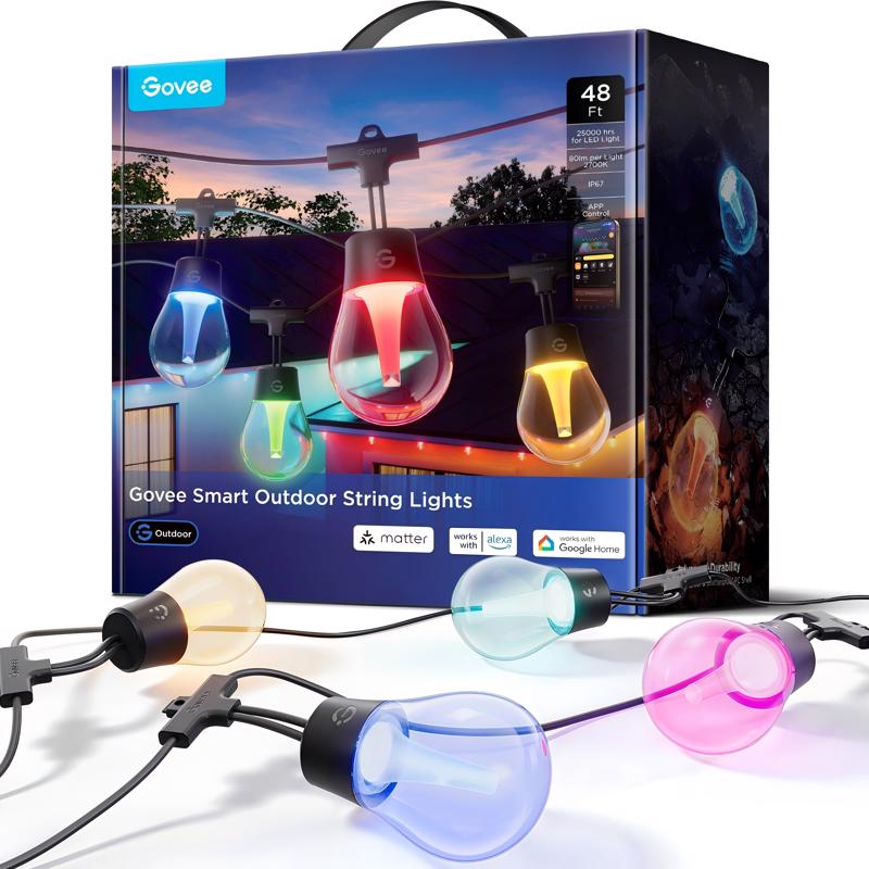 Govee LED Modern Smart-Enabled Color Changing String Lights Clear 48 ft. 15 lights