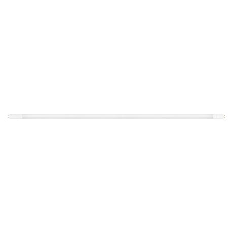 Sylvania Universal A/B LED Tube CCT 48 in. G13 Linear T8 LED Tube 32 Watt Equivalence 10 pk