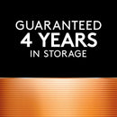 Duracell Silver Oxide 379 1.5 V 16 mAh Electronic/Watch Battery 1 pk