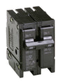 BRKR BR 2P 30A 2"