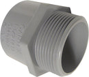ADAPTR TERMINAL PVC 3/4"