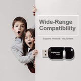 Gigastone Flash Drive 16 GB 1 pk