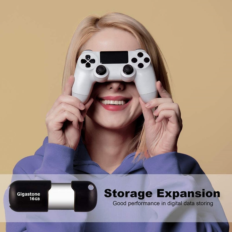 Gigastone Flash Drive 16 GB 1 pk