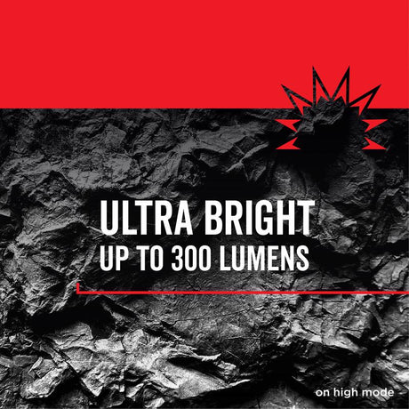 Rayovac Workhorse Pro 300 lm Black LED Flashlight AAA Battery