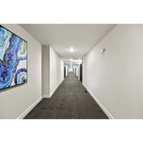 Lithonia Lighting Switch Hardwired LED White Emergency Light