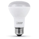 Feit Enhance R20 E26 (Medium) LED Bulb Daylight 45 Watt Equivalence 1 pk