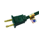 Home Plus Indoor 6 ft. L Green Extension Cord with Switch 18/2