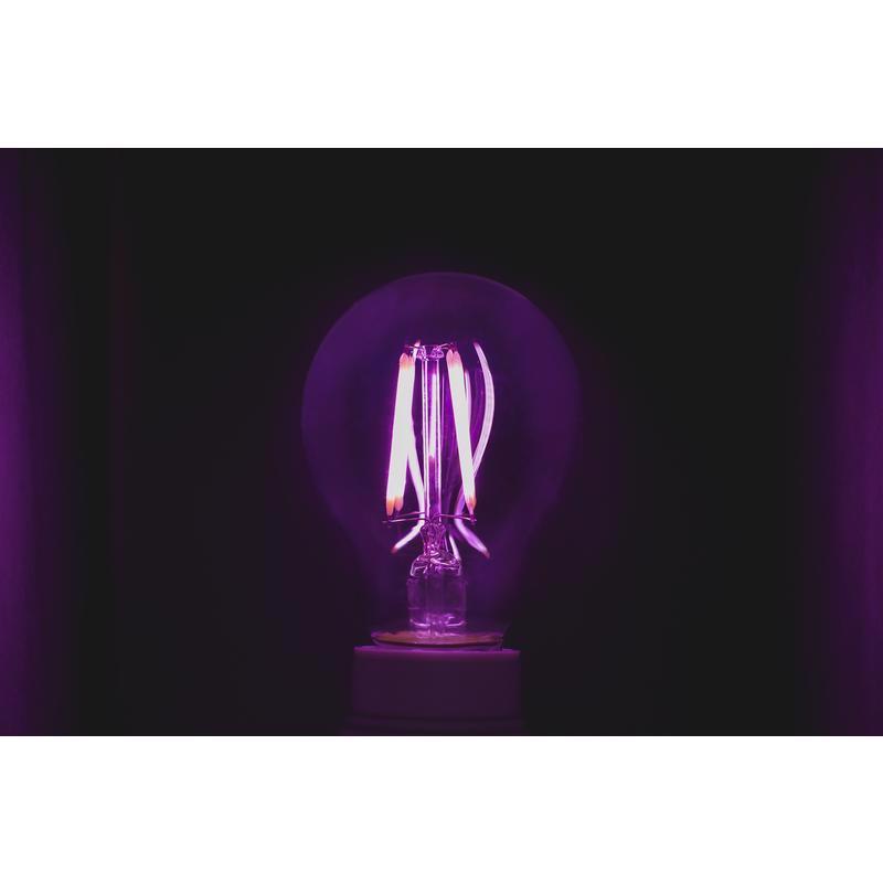 Feit A19 E26 (Medium) Filament LED Bulb Purple 30 Watt Equivalence 1 pk