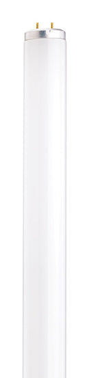 BULB FLUOR F20T12/CW 24"