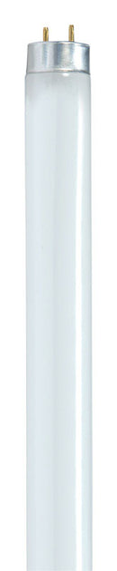 BULB FLUOR F17T8/841 24"